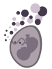 Baby in Womb